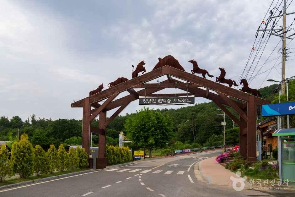 [전남광주통합특별시] 정남진 편백숲 우드랜드