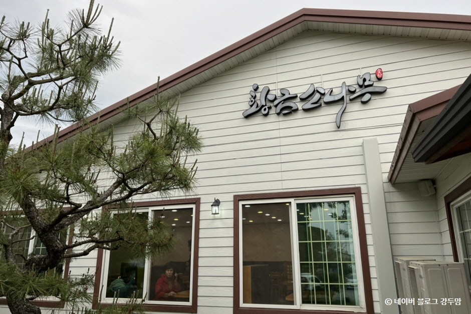 [전남광주통합특별시] 황금소나무
