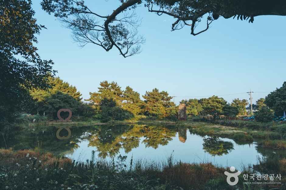 [제주] 혼인지