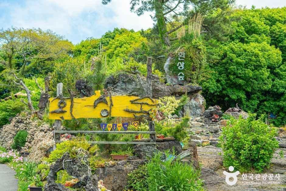 [제주] 환상숲곶자왈공원