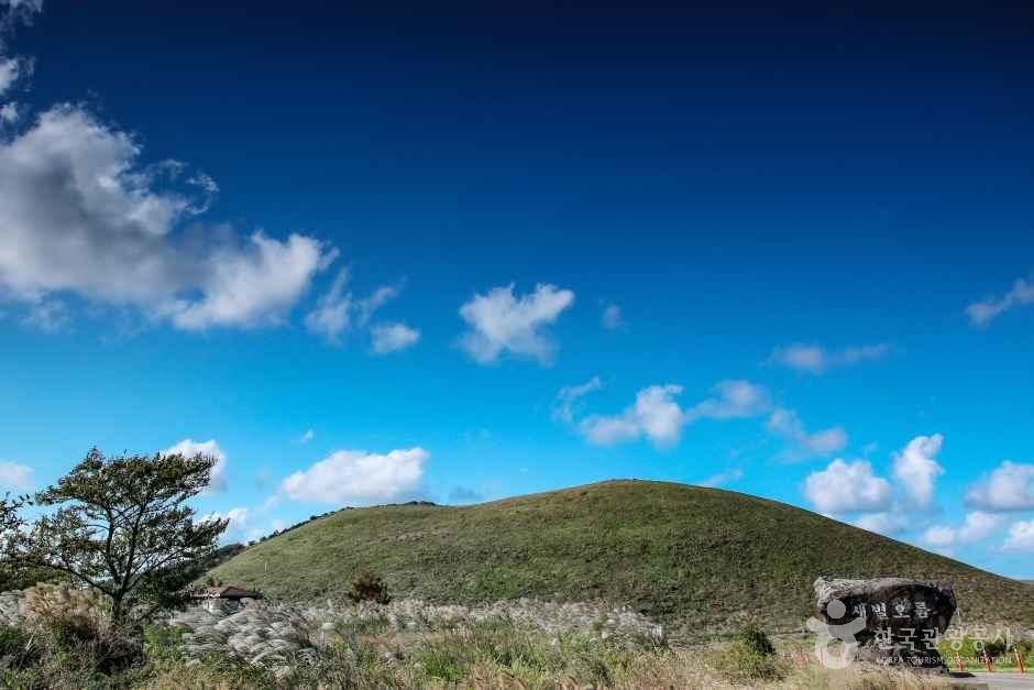 [제주] 새별오름