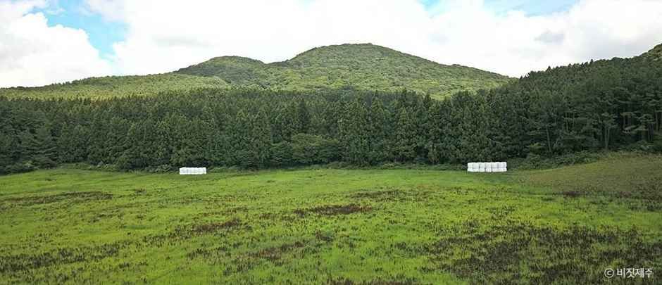 [제주] 족은노꼬메오름