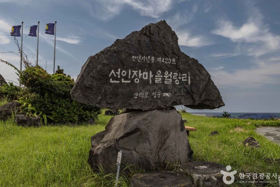[제주] 제주선인장마을