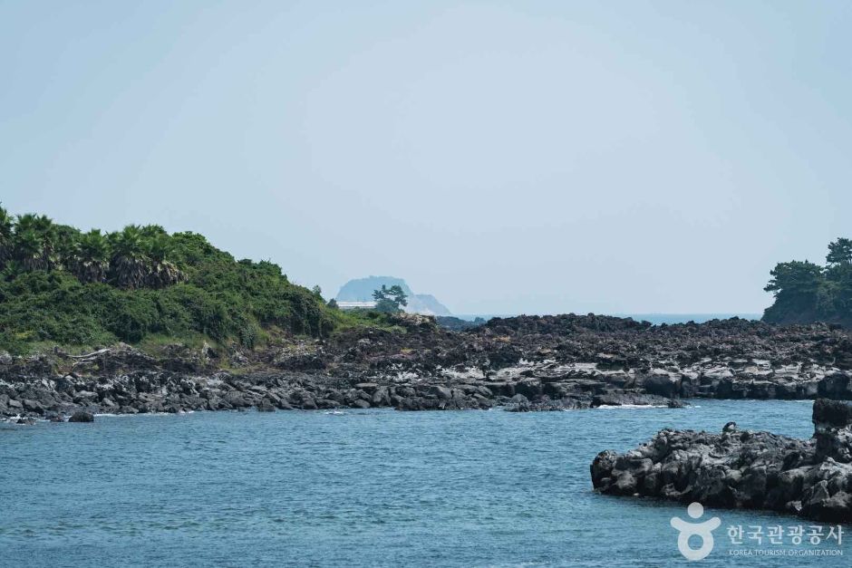 [제주] 강정천