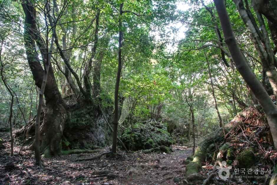 [제주] 이승이오름 (이승악)
