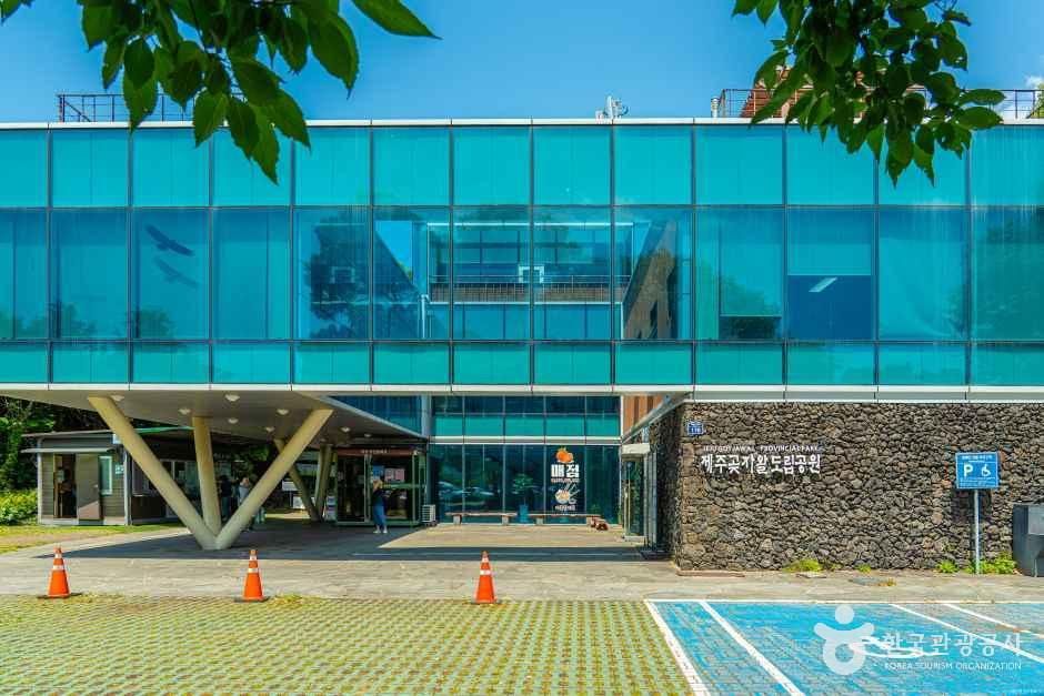 [제주] 제주곶자왈도립공원