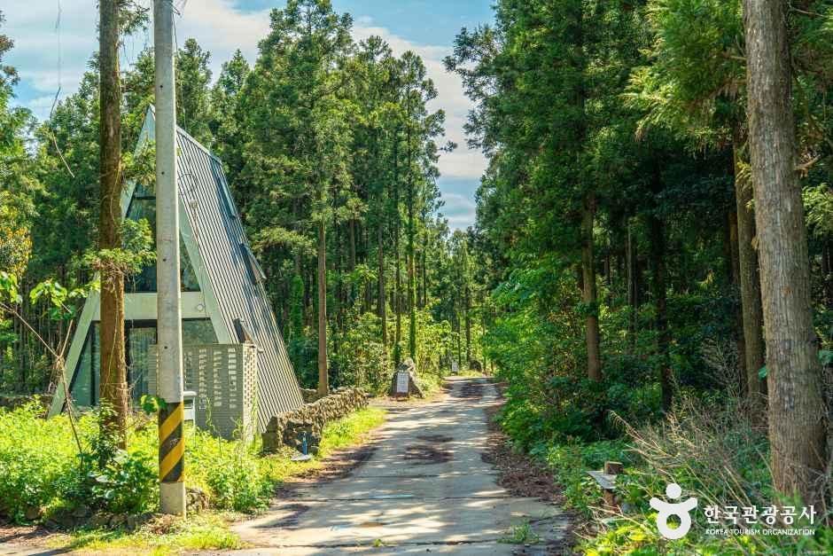 [제주] 송당무끈모루