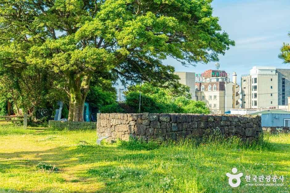 [제주] 서귀진지