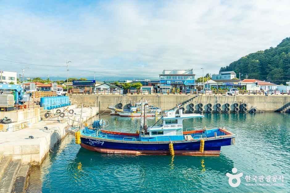 [제주] 보목마을