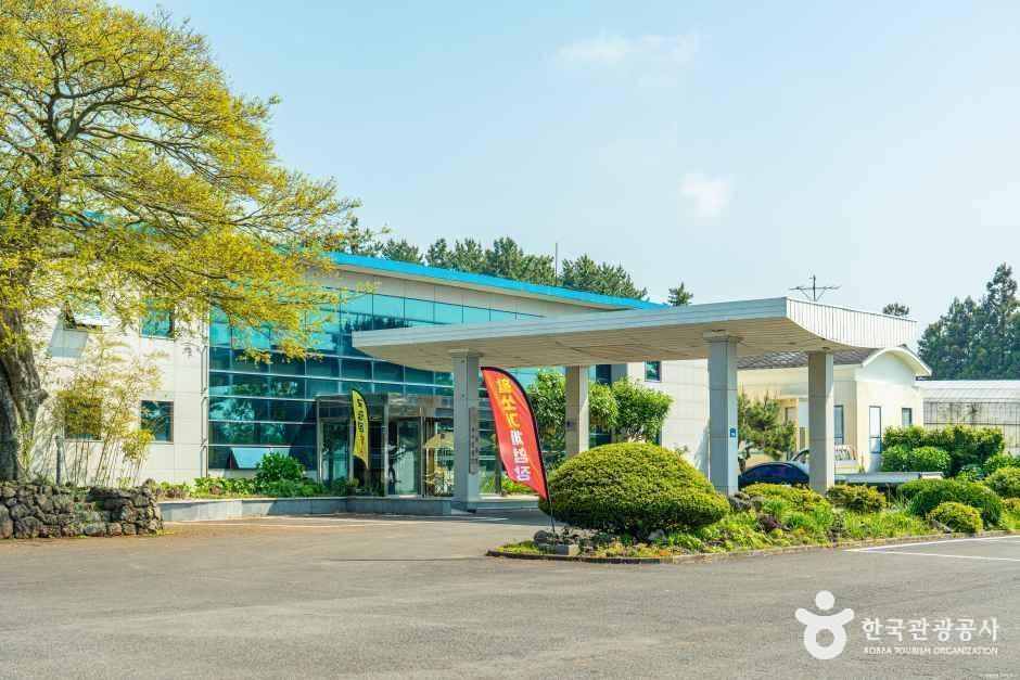 [제주] 제주힐링명상테마파크