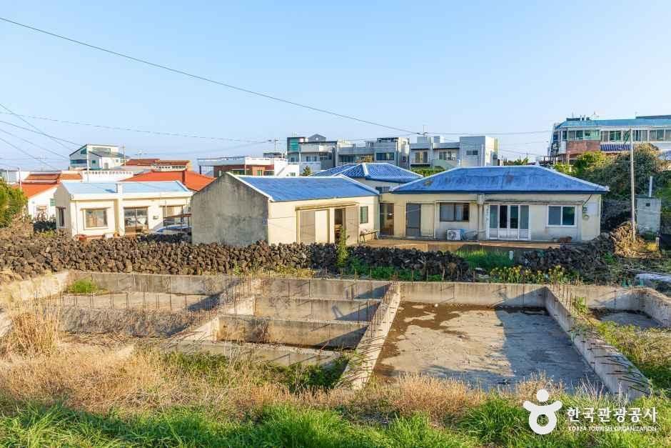 [제주] 신양마을