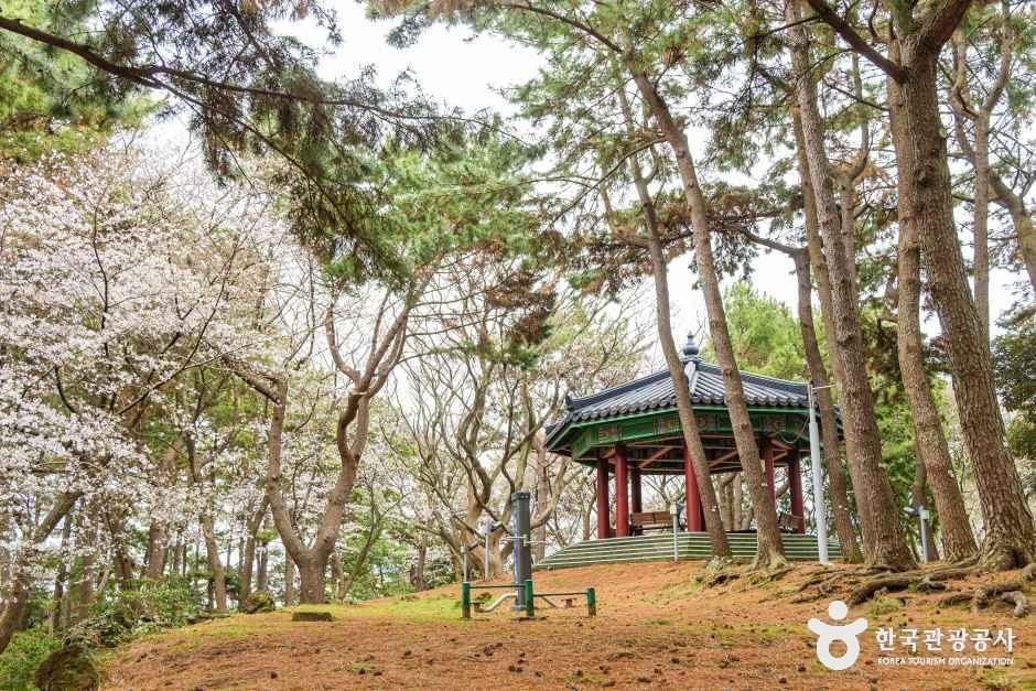 [제주] 삼무공원