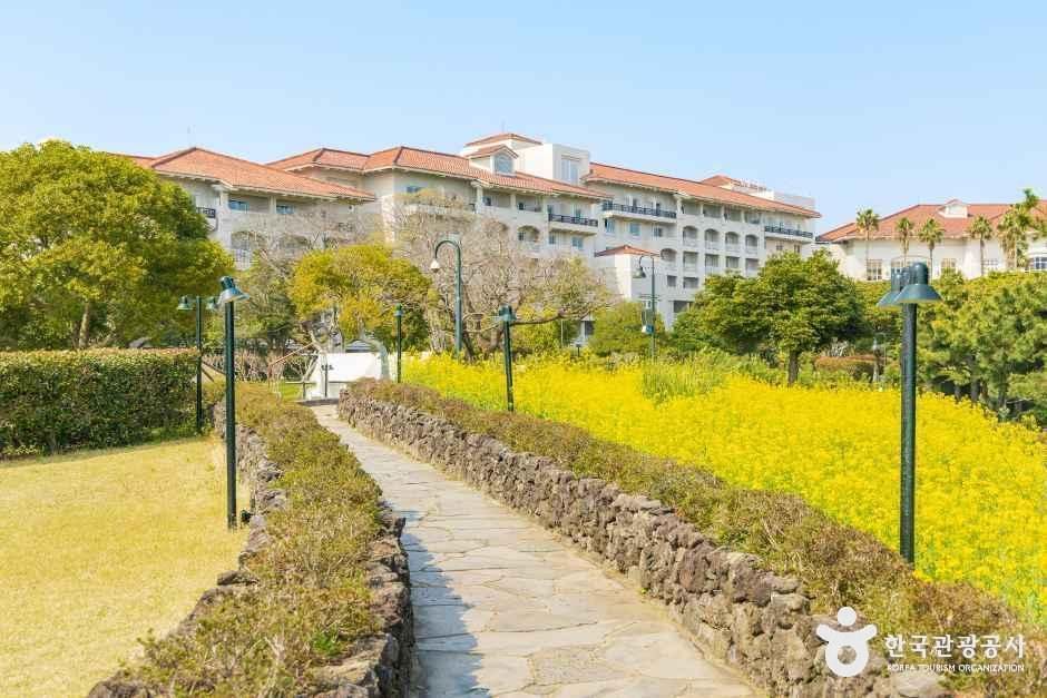 [제주] 쉬리의언덕