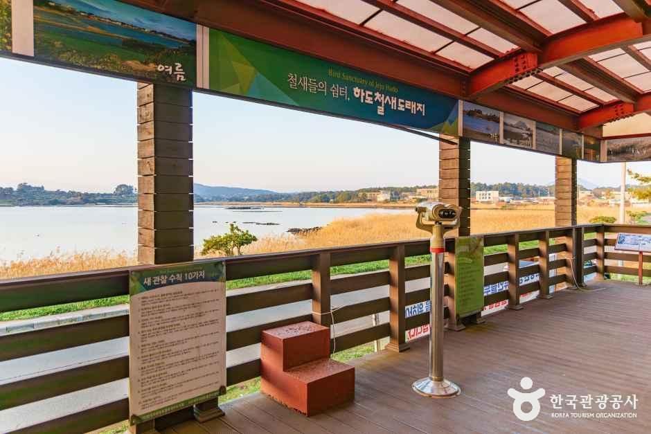 [제주] 하도리 철새도래지