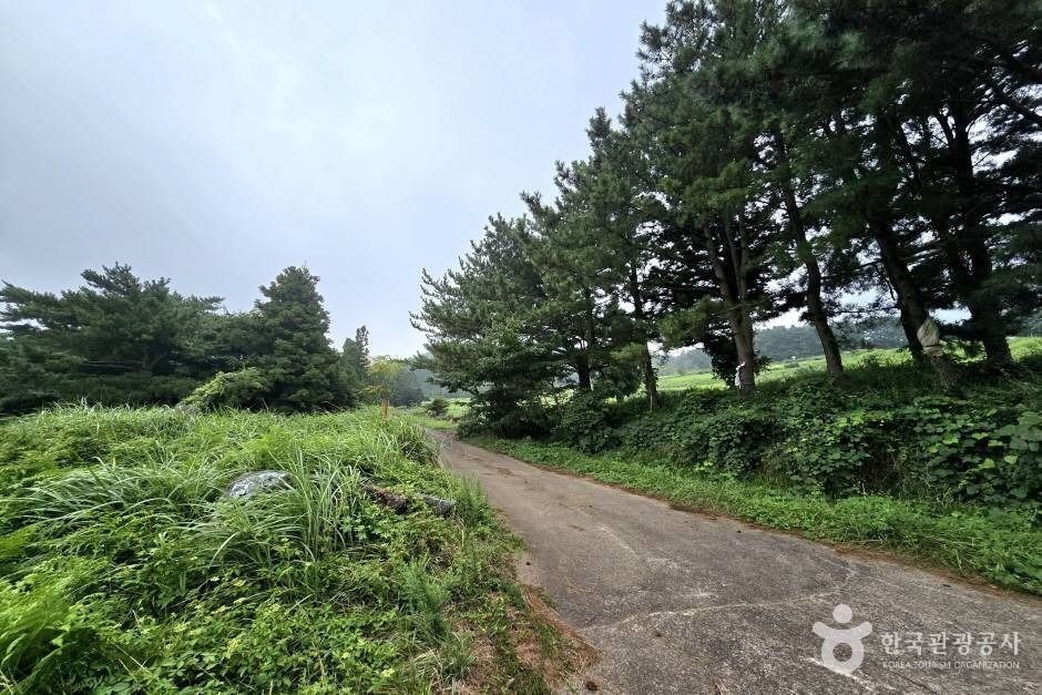 [제주] 걸서악(걸세오름)