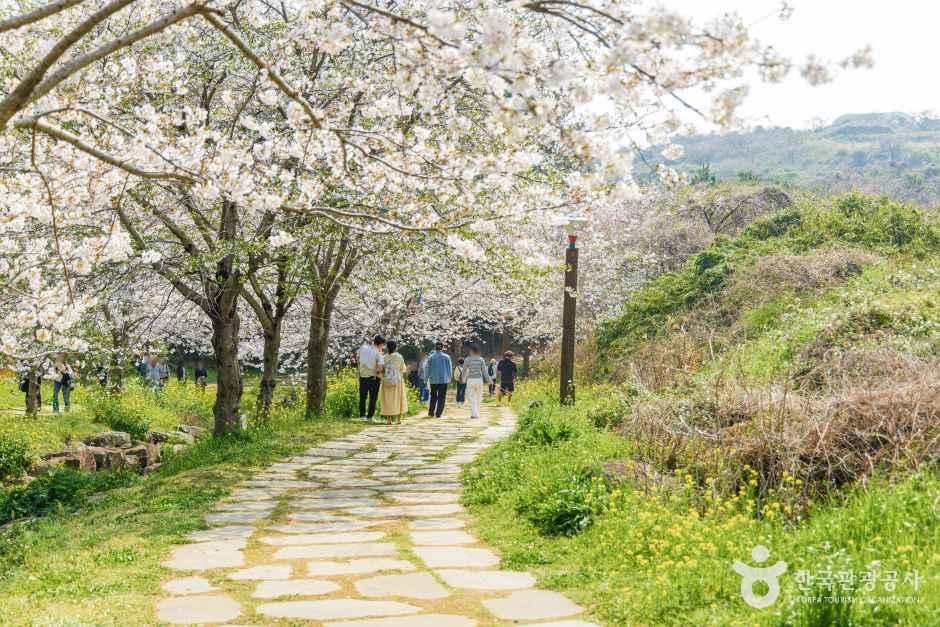 [제주] 대왕수천예래생태공원