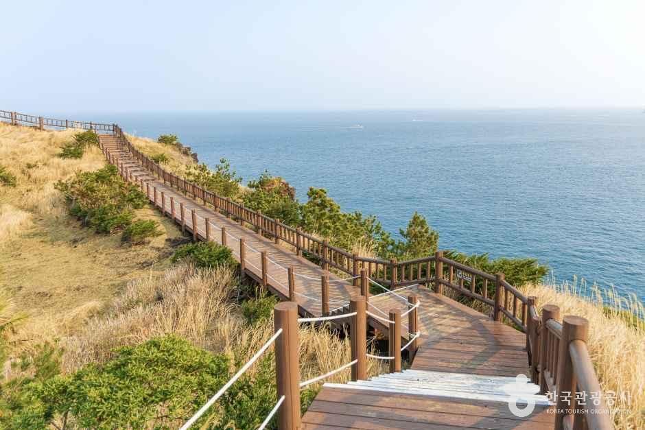 [제주] 송악산둘레길