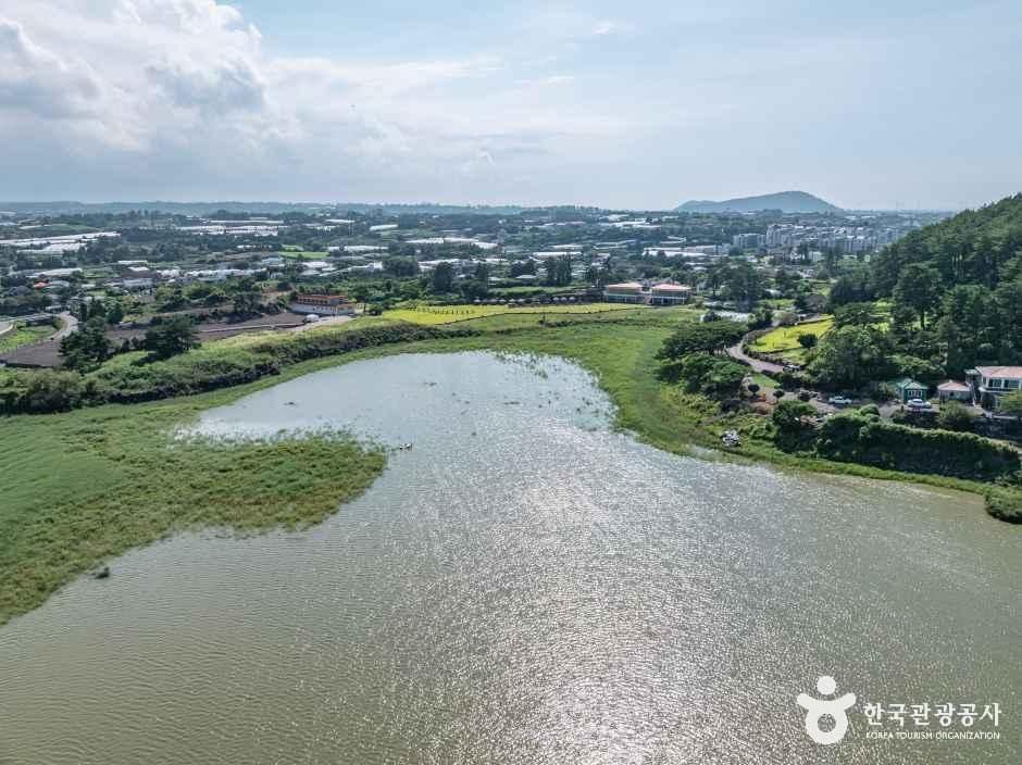 [제주] 수산저수지