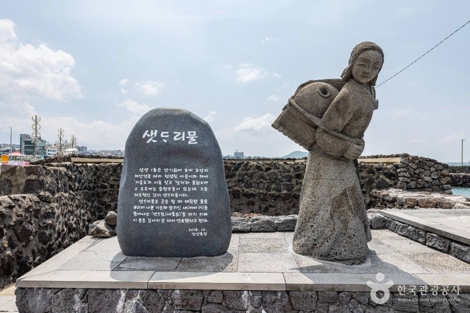 [제주] 샛도리물