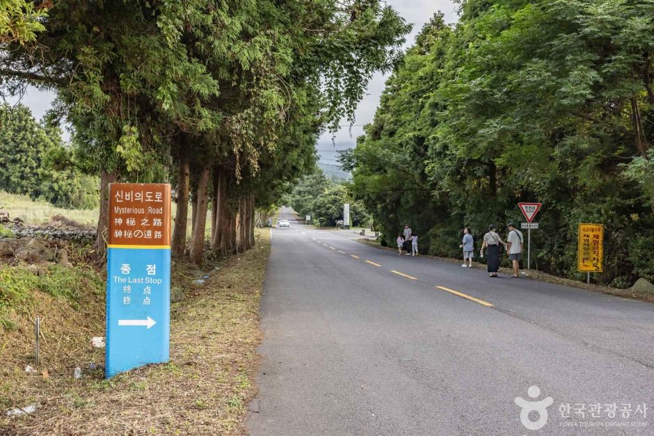 [제주] 신비의도로