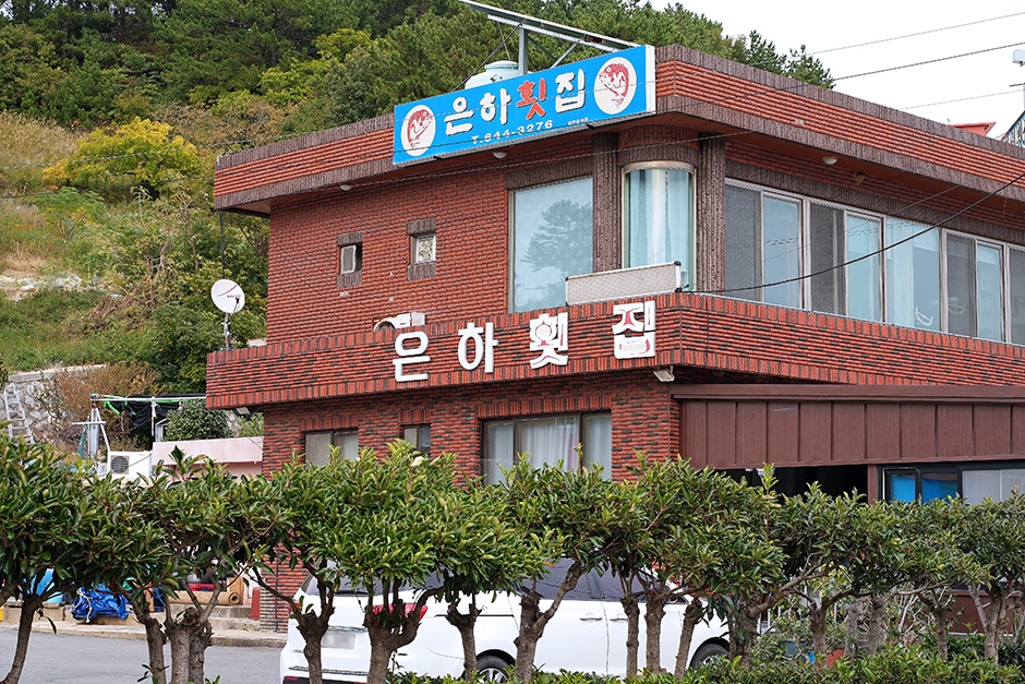 [전남광주통합특별시] 은하횟집
