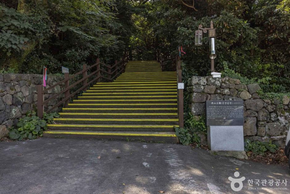 [제주] 금산공원(납읍난대림지대)