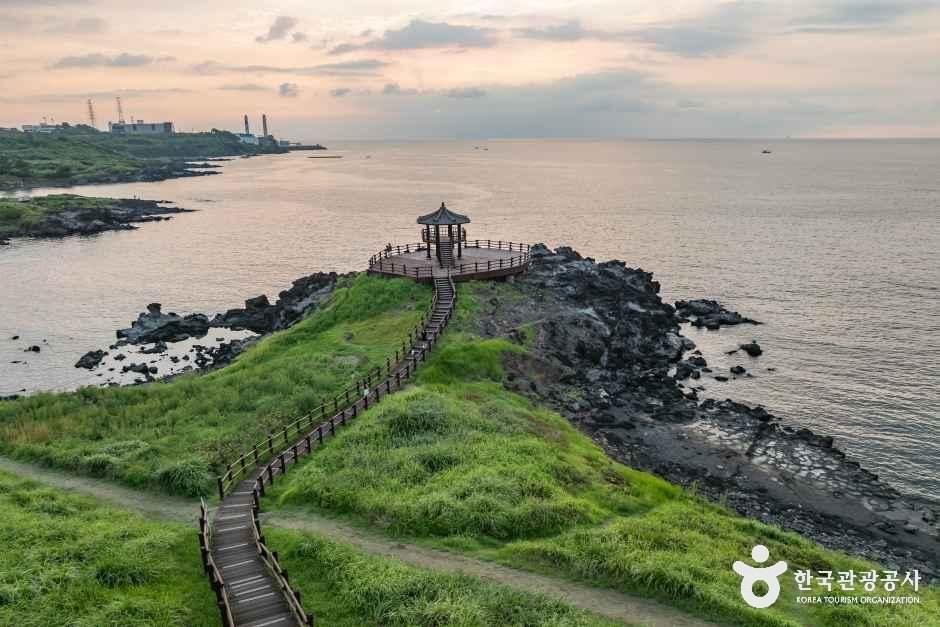 [제주] 닭머르해안길