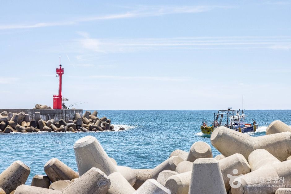 [제주] 보목포구