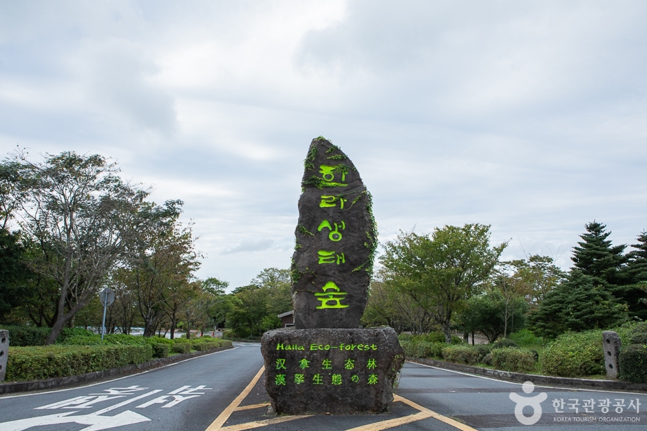 [제주] 한라생태숲