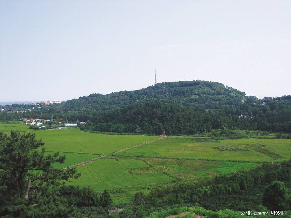 [제주] 삼매봉