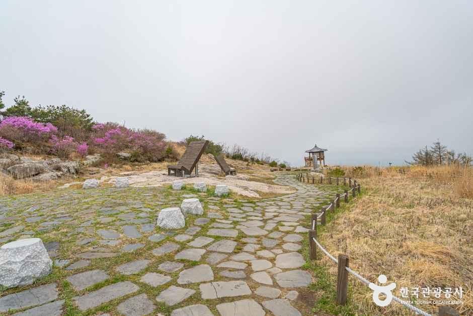 [대구] 팔공산국립공원(군위군)