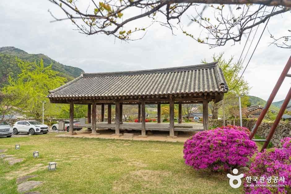 [대구] 군위대율리대청
