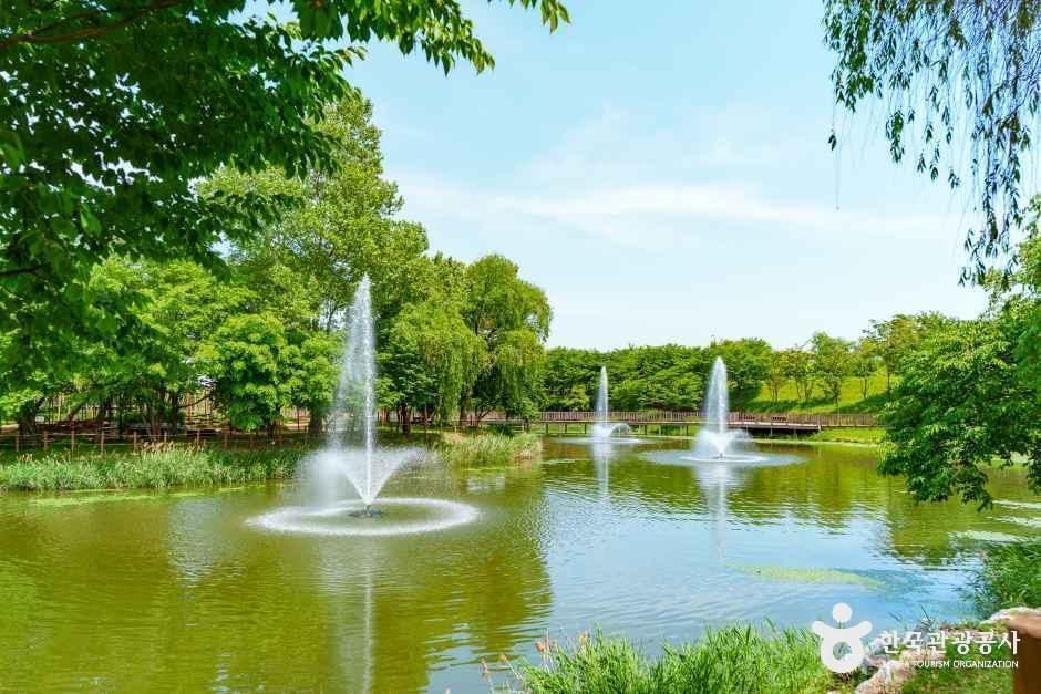 [경기] 바람새마을 소풍정원