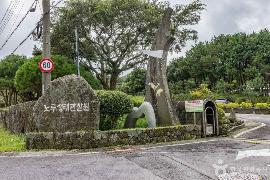 [제주] 제주 노루생태관찰원
