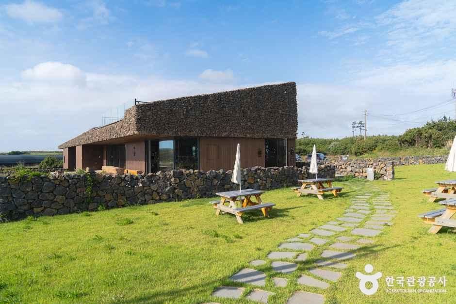 [제주] 핀스
