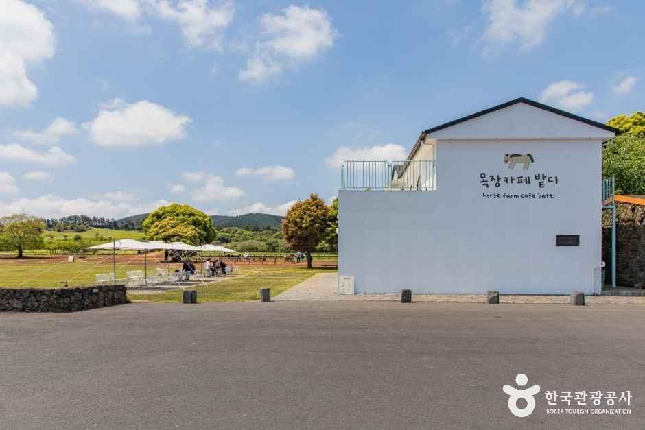 [제주] 목장카페 밭디