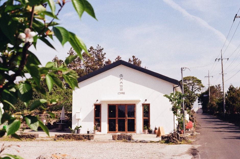 [제주] 청춘부부