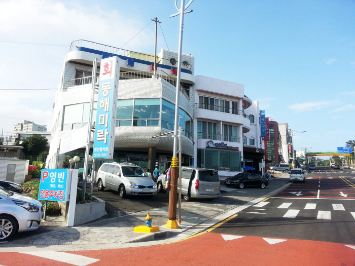 [제주] 동해미락