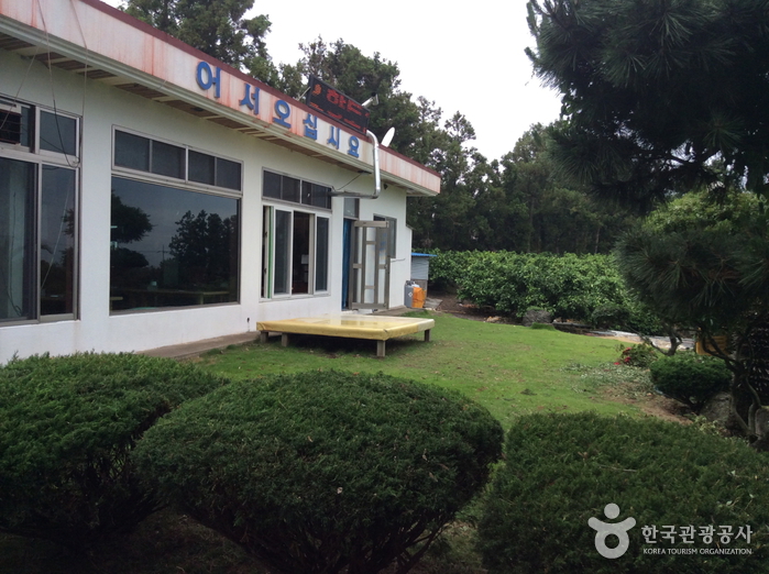 [제주] 고우니가든