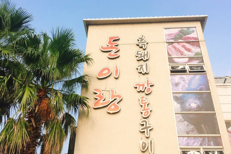 [제주] 돈이랑