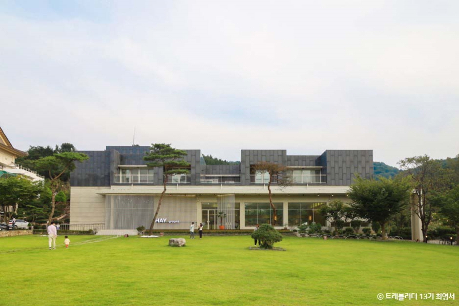 [전북] 헤이그라운드