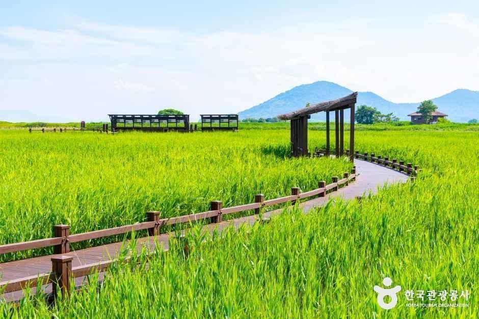 [전남광주통합특별시] 순천만습지
