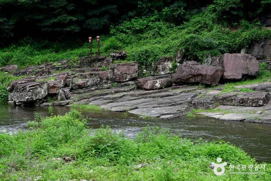 [울산] 천전리각석계곡(울산)