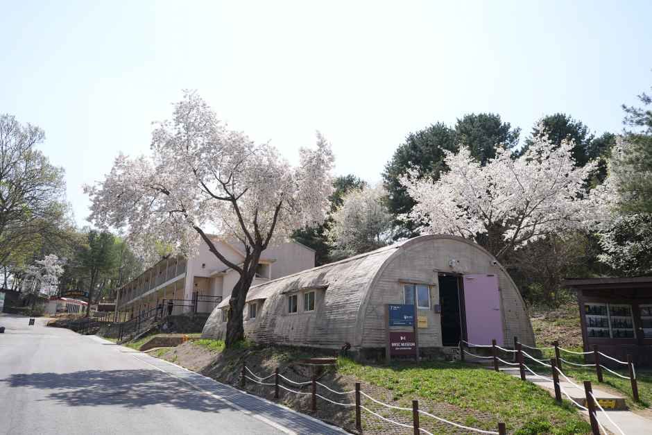 [경기] 캠프 그리브스