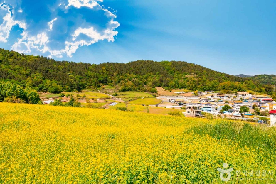 [전남광주통합특별시] 선학동 마을
