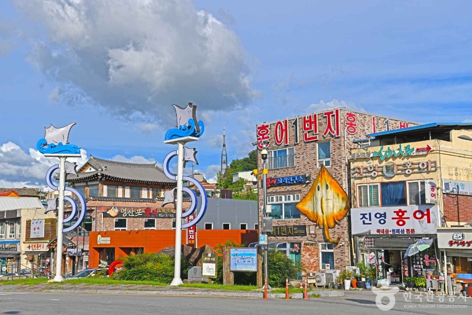 [전남광주통합특별시] 영산포 홍어거리