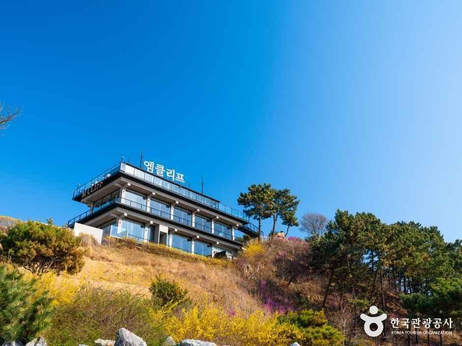 [인천] 엠클리프