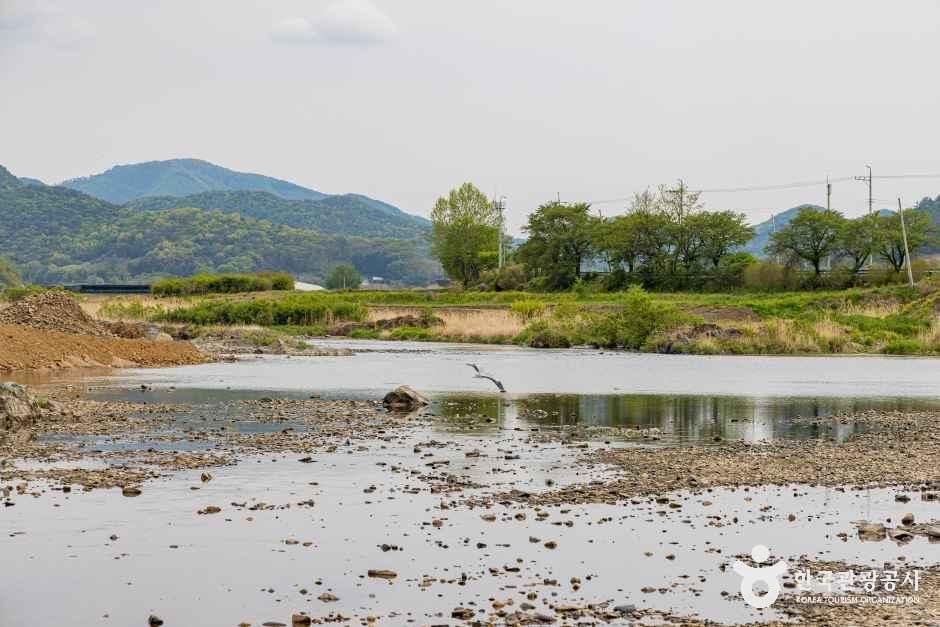 [충북] 청천수변공원