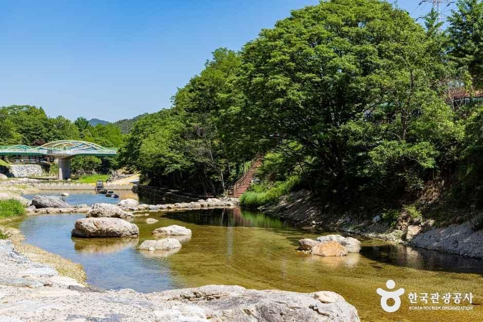 [충북] 장령산자연휴양림