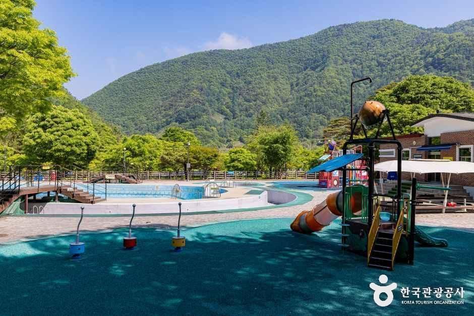 [충북] 천동관광지